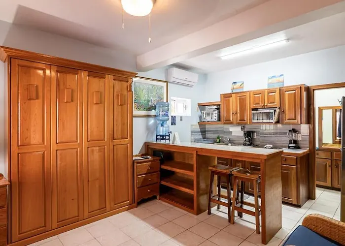 Frangipani 8 At Caribe Island Gold Standard Certified San Pedro (Ambergris Caye)