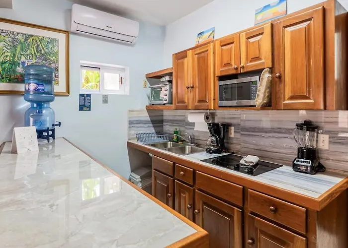 Frangipani 8 At Caribe Island Gold Standard Certified San Pedro (Ambergris Caye)
