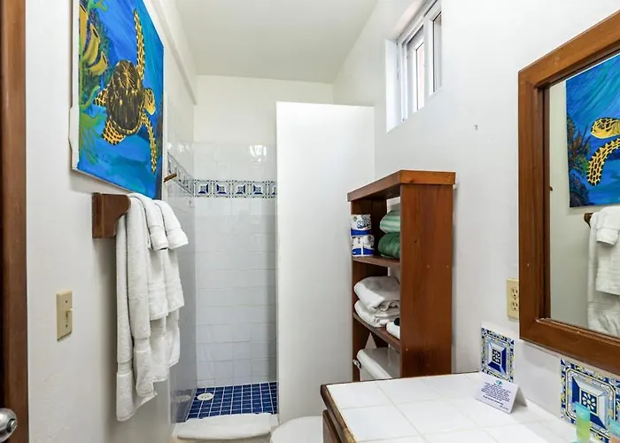 Frangipani 8 At Caribe Island Gold Standard Certified * San Pedro (Ambergris Caye)