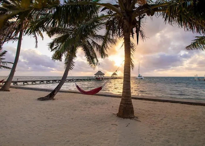 Frangipani 8 At Caribe Island Gold Standard Certified San Pedro (Ambergris Caye)